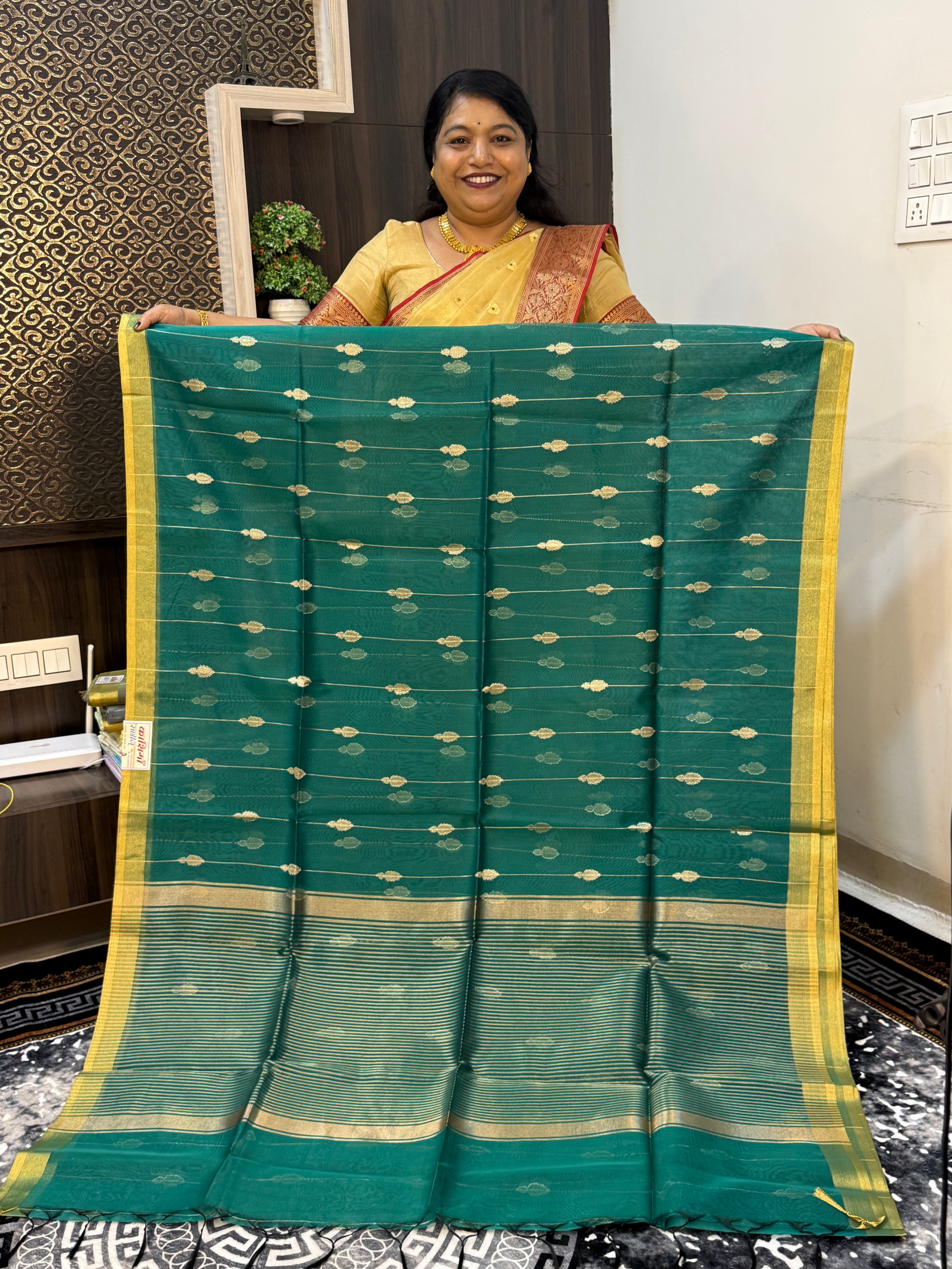 VRIN-18 | Elegant Chanderi Katan Organza Saree – Diya Butta